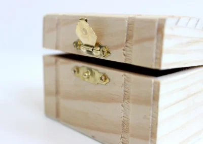 Pine Wood Toy Chest